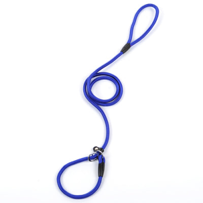 Dog leash (Blue)