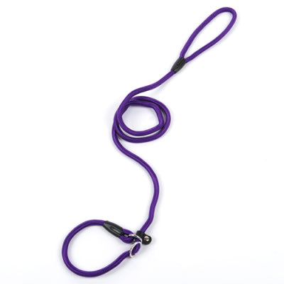 Dog leash (Purple)